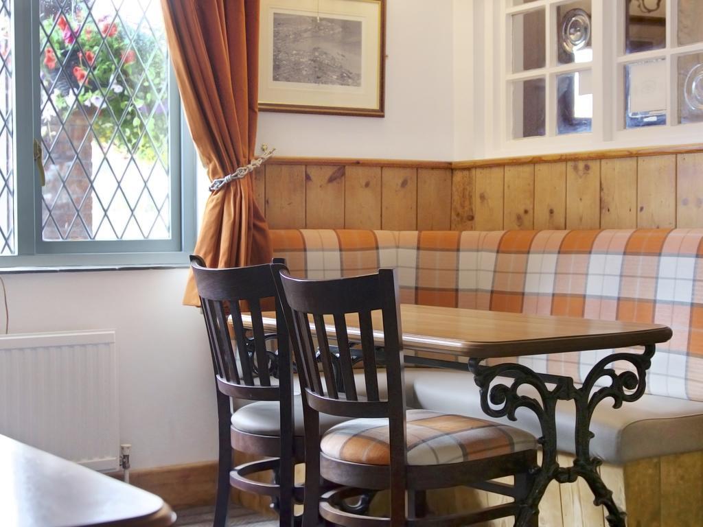 Griffin Inn New Quay Eksteriør billede